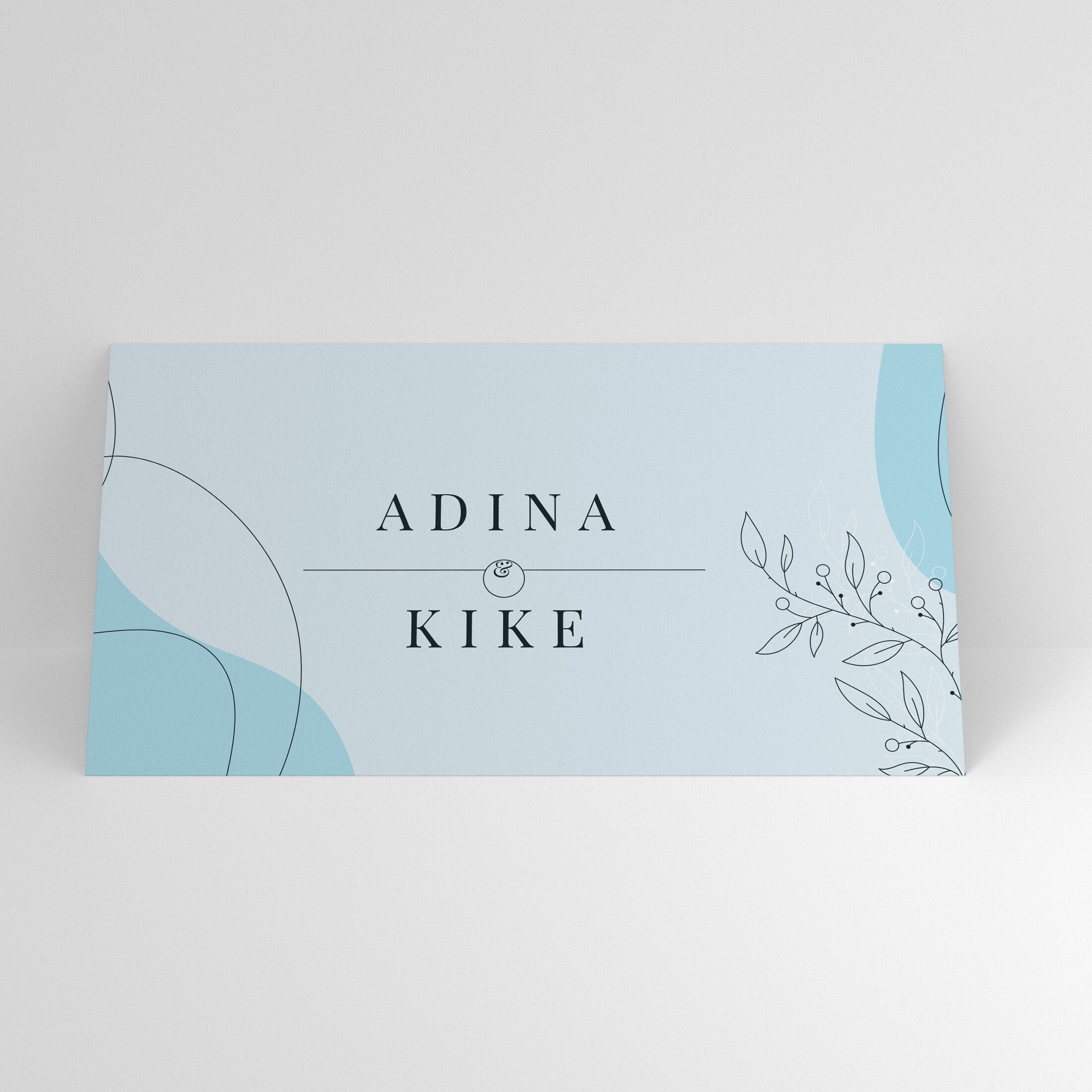 Plic de bani albastru pastel cu design minimalist și elemente botanice