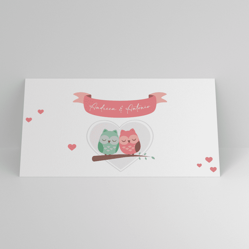 Plic de bani botez cu două bufnițe colorate în inimă și decor cu inimioare, personalizat cu nume